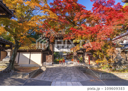 秋の京都　紅葉に包まれた今宮神社の東門 109609383