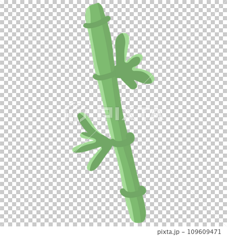 Bamboo Plant Illustration Bamboo Plant Illustration 109609471