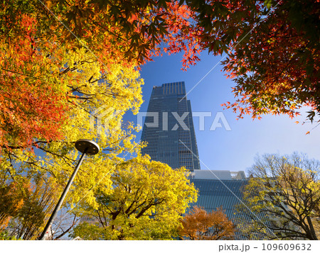 東京ミッドタウンタワーとミッドタウンガーデンの紅葉 東京都 東京ミッドタウンタワーとミッドタウンガーデンの紅葉 東京都 109609632