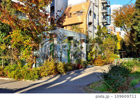 渋谷区　西原一丁目公園トイレの風景 109609711