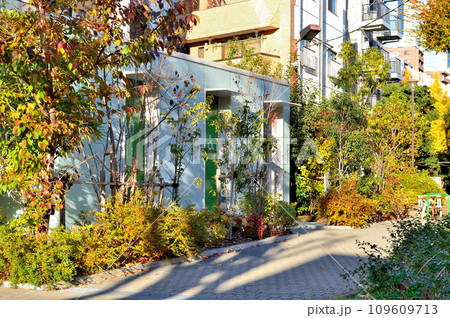 渋谷区 西原一丁目公園トイレの風景 渋谷区 西原一丁目公園トイレの風景 109609713
