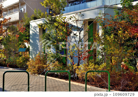 渋谷区　西原一丁目公園トイレの風景 109609729