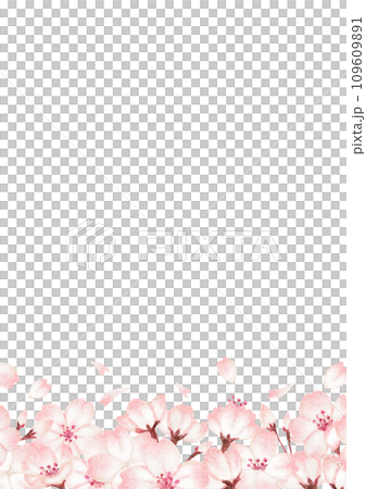 美麗的手繪櫻花背景圖 109609891