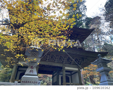 大雄山最乗寺　神奈川県南足柄市　秋　紅葉 109610162
