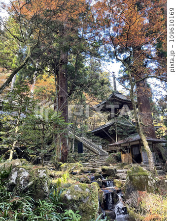 大雄山最乗寺 神奈川県南足柄市 秋 紅葉 大雄山最乗寺 神奈川県南足柄市 秋 紅葉 109610169