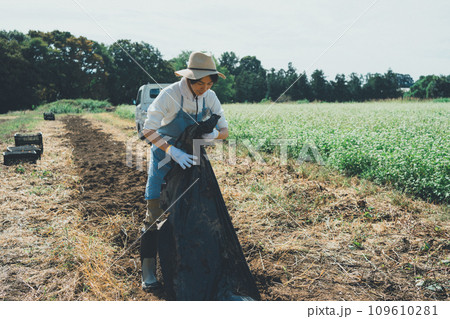 vegetable field 109610281