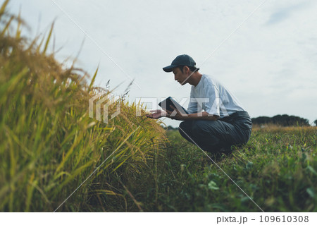 rice farming 109610308