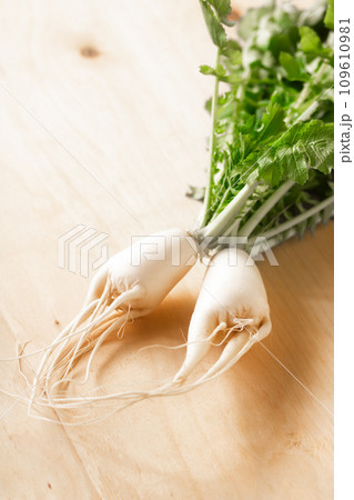 お供え用に栽培された、まっか大根（二股大根） 109610981