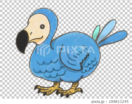用蠟筆畫的渡渡鳥的插圖 109611245