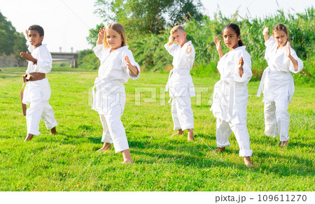 Positive children practicing karate in park Positive children practicing karate in park 109611270