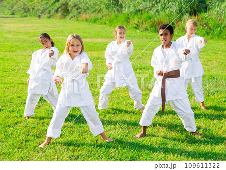 Multiracial group of preteen children practicing karate in summer park Multiracial group of preteen children practicing karate in summer park 109611322