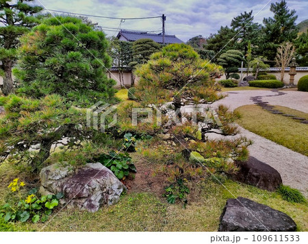純和風の庭園 109611533