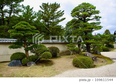 純和風の庭園 109611544