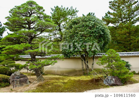 純和風の庭園 純和風の庭園 109611560