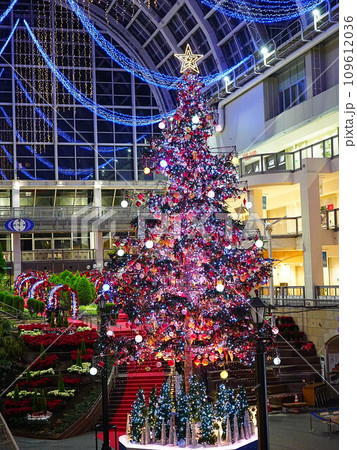 サッポロファクトリーのジャンボクリスマスツリー  109612036