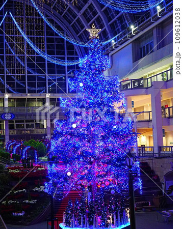 サッポロファクトリーのジャンボクリスマスツリー  109612038