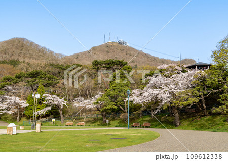 桜咲く函館公園と函館山の風景 109612338