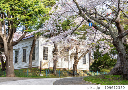 咲き誇る桜と旧函館博物館一号 109612380