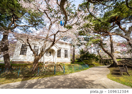 春の日の旧函館博物館一号の風景 109612384