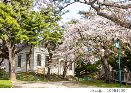 春の晴れた日と旧函館博物館一号 春の晴れた日と旧函館博物館一号 109612394