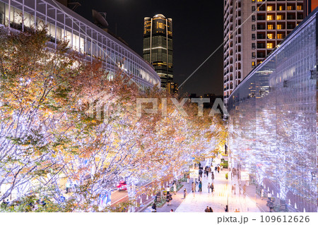 《東京都》六本木・冬のクリスマスイルミネーション 109612626