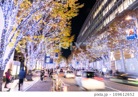 《東京都》六本木・冬のクリスマスイルミネーション 109612652