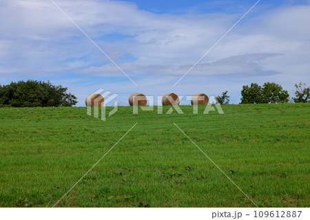 北海道上川郡美瑛町北瑛　牧草ロールのある牧草地と青空 109612887