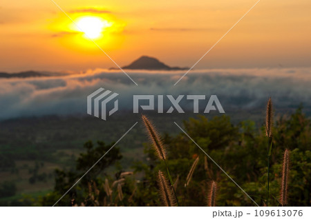 Beautiful dramatic sunset in the mountains. Landscape lot of fog Phu Thok Mountain at Chiang Khan ,Loei Province in Thailand. 109613076
