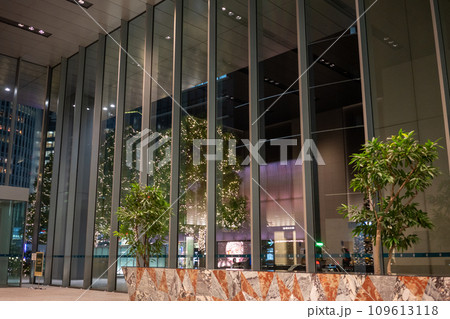 ビルの谷間に映る街路樹 ビルの谷間に映る街路樹 109613118