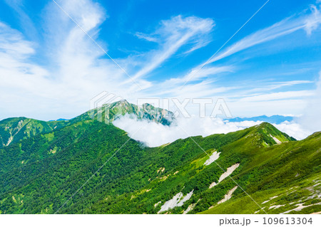 夏の爺ヶ岳登山（鹿島槍ヶ岳を望む） 109613304