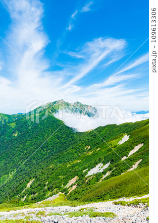 夏の爺ヶ岳登山（鹿島槍ヶ岳を望む） 109613306