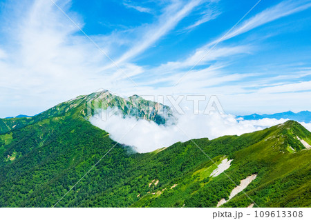 夏の爺ヶ岳登山（鹿島槍ヶ岳を望む） 109613308