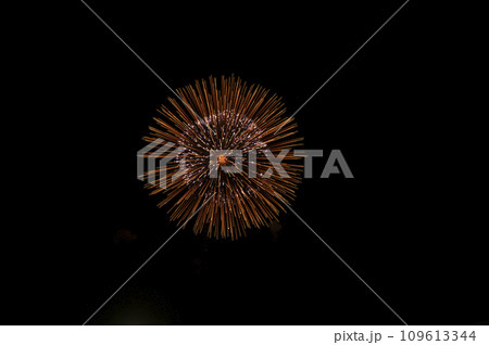 秩父夜祭冬の花火 109613344