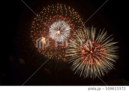 秩父夜祭冬の花火 109613372