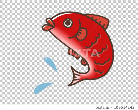 彈跳鯛魚 109614142