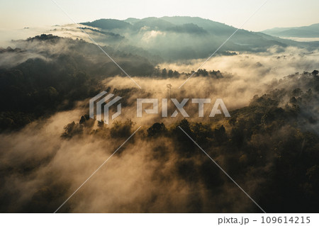 Foggy sunrise in the mountains in summer Foggy sunrise in the mountains in summer 109614215