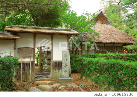萩城跡指月公園　花江茶亭 109615236