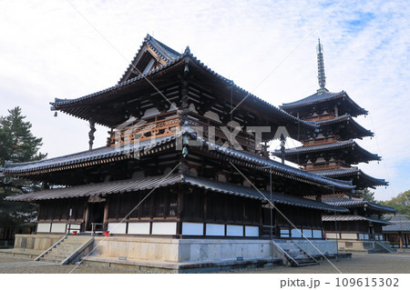 世界遺産 聖徳宗総本山法隆寺西院伽藍 金堂と五重塔 世界遺産 聖徳宗総本山法隆寺西院伽藍 金堂と五重塔 109615302