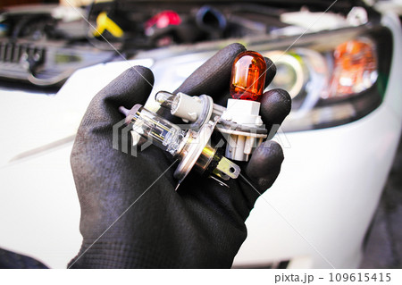 Car halogen bulb of headlight in auto mechanic hand with a car blurred background Car halogen bulb of headlight in auto mechanic hand with a car blurred background 109615415