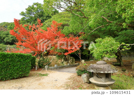 秋の萩城跡指月公園 本丸跡 秋の萩城跡指月公園 本丸跡 109615431