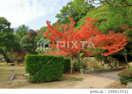 秋の萩城跡指月公園　本丸跡 109615432
