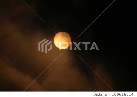 平久保﨑の朝日 109616314