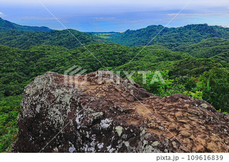 石垣島、野底岳からの風景 石垣島、野底岳からの風景 109616839