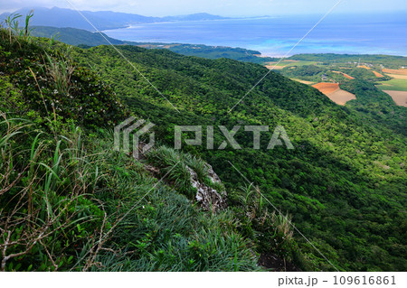 石垣島、野底岳からの風景 石垣島、野底岳からの風景 109616861