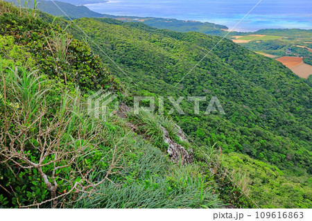 石垣島、野底岳からの風景 石垣島、野底岳からの風景 109616863