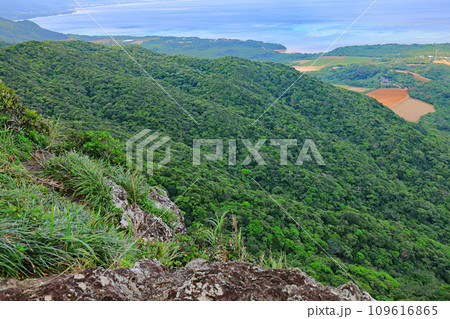 石垣島、野底岳からの風景 109616865