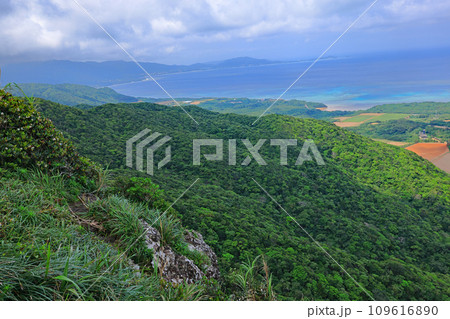 石垣島、野底岳からの風景 109616890