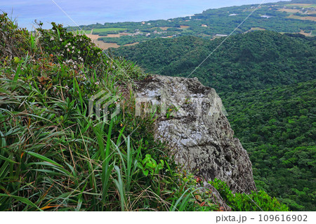 石垣島、野底岳からの風景 石垣島、野底岳からの風景 109616902