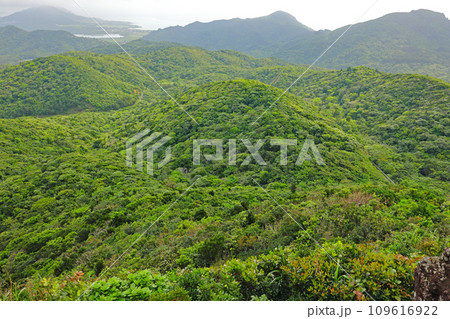 石垣島、野底岳からの風景 109616922