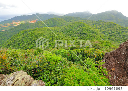 石垣島、野底岳からの風景 石垣島、野底岳からの風景 109616924